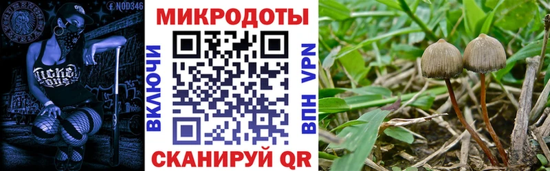 Галлюциногенные грибы MAGIC MUSHROOMS гидра ссылка Сибай